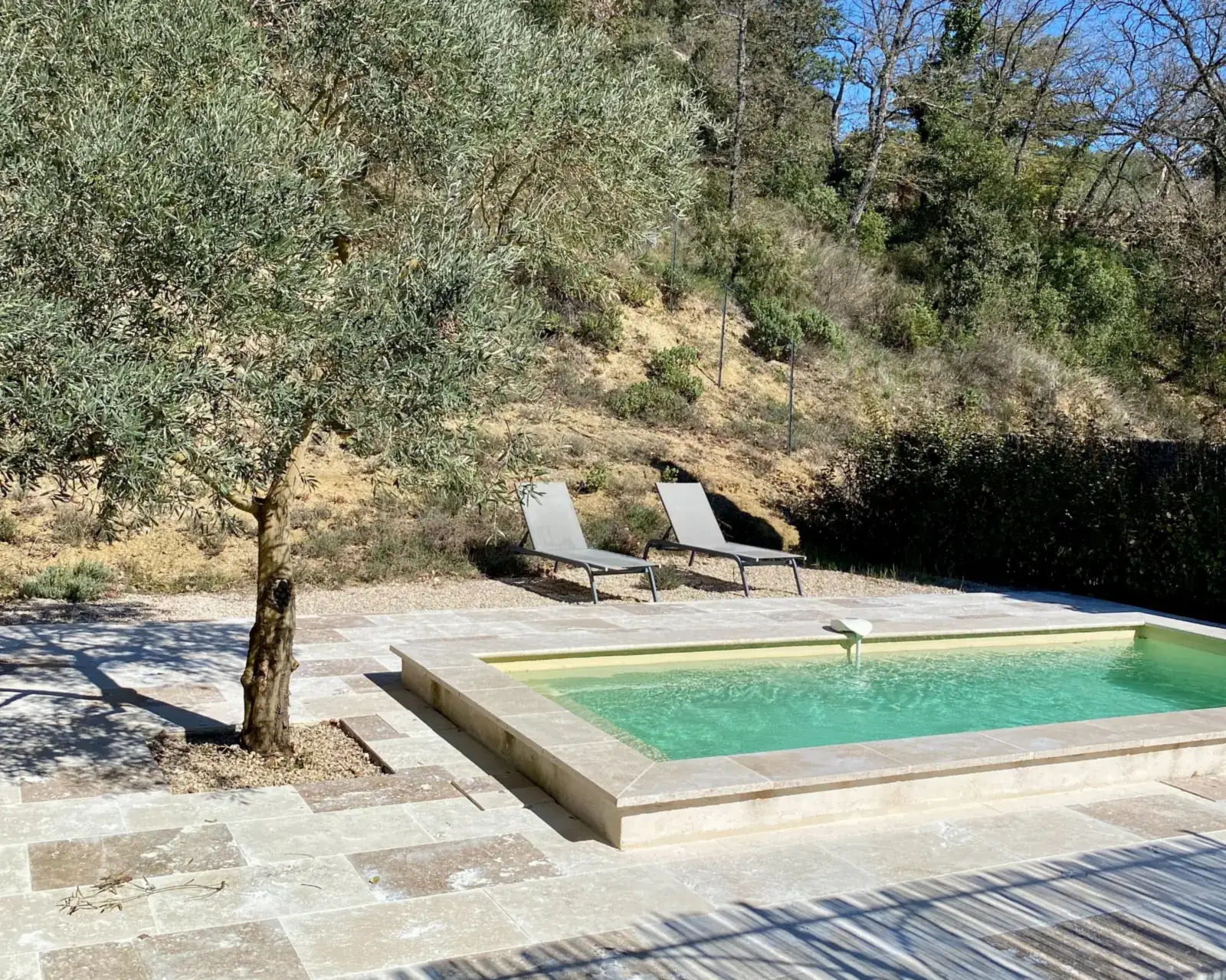Piscine privée du gîte Salonenque, près des oliviers